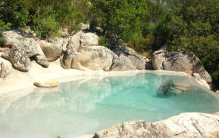 Swiss SPA-Pool