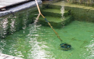 Schwimmteichreinigung
