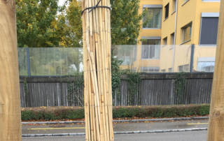 Stammschutz