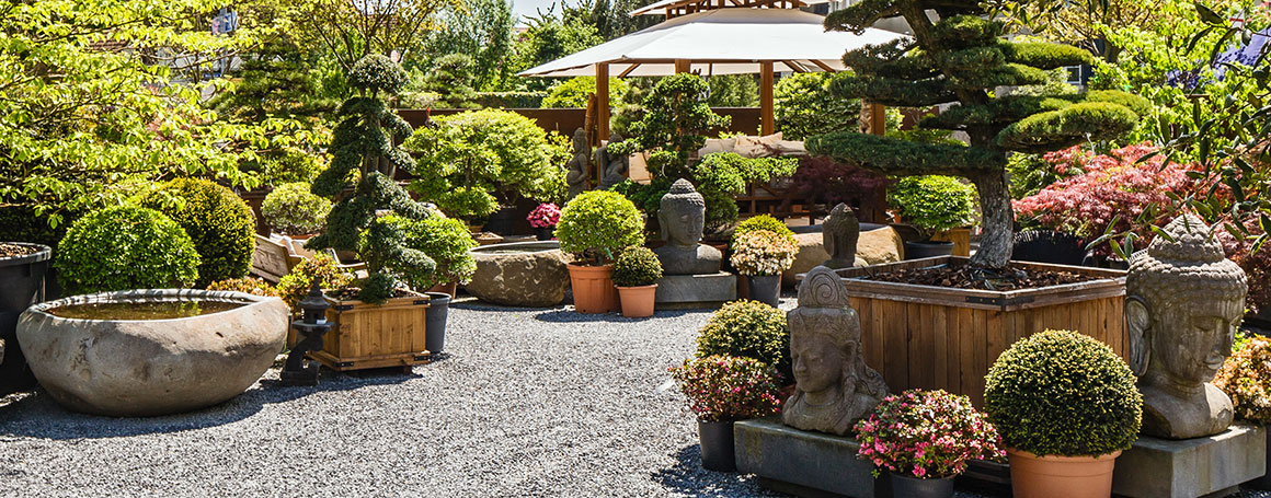 exklusive Pflanzen im Erni Garten