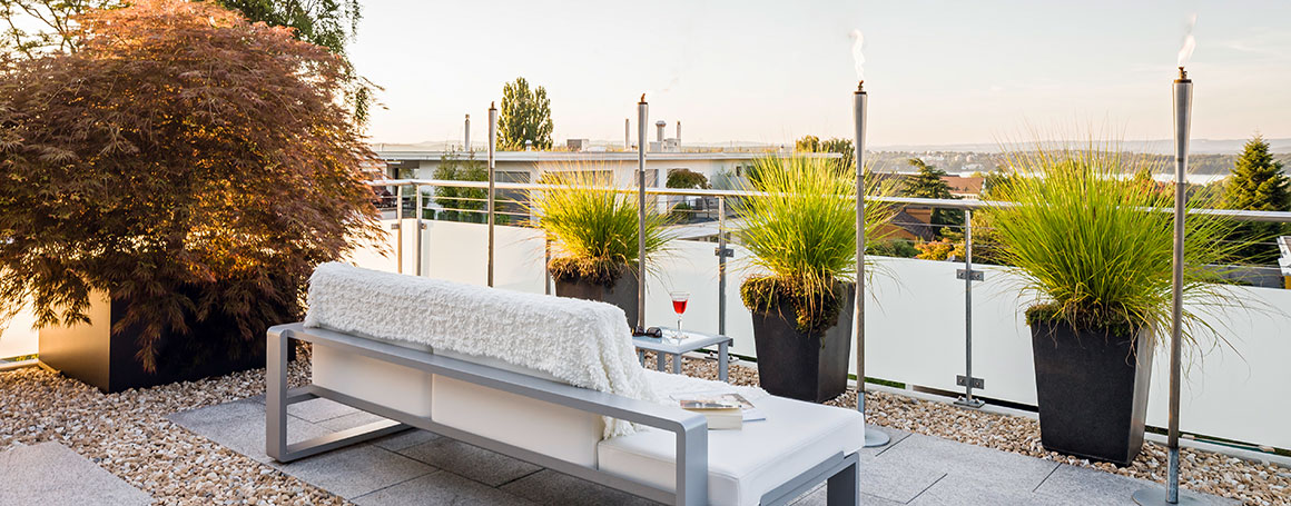 exklusive Pflanzen im Erni Garten