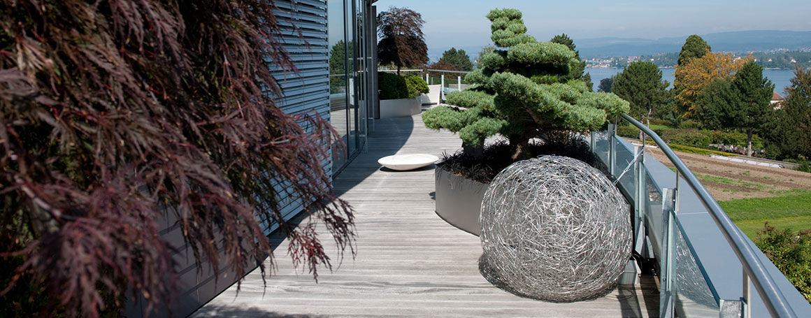 Terrasse - Garten über den Dächern