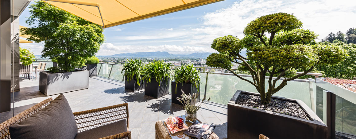 Terrasse - Garten über den Dächern