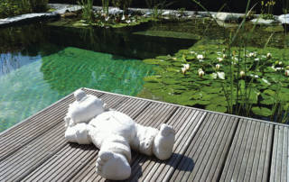 Schwimmteich Frühjahrspflege