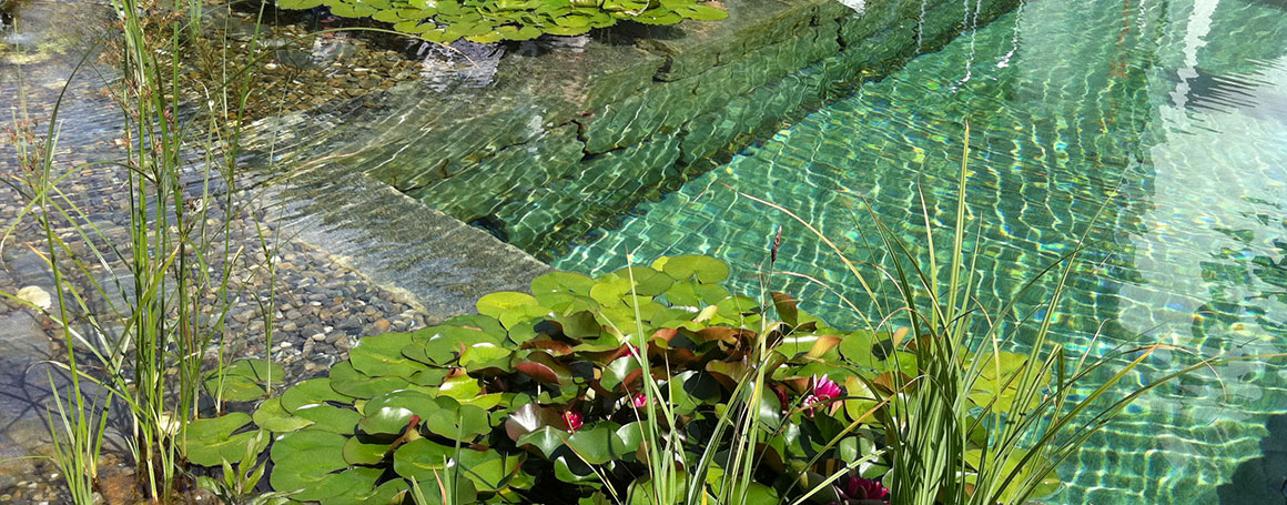 Schwimmteich
